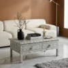 Bone Inlay Grey Floral 2 Drawer Coffee Table in modern living room with sofa set
