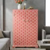 Bone inlay cupboard/ almirah / cabinet placed in grey living room with sofa view
