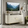 Luxurious Bone Inlay White Entertainment / TV Cabinet with LED Tv and Modern Decor