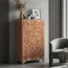 Orange Mother of Pearl 2 Door Floral Armoire Cupboard.